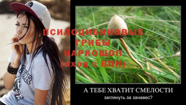 ECSTASY Арсеньев